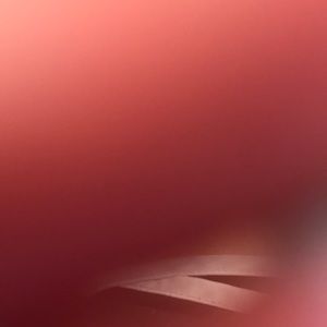 Meet your Posher, Kyndal